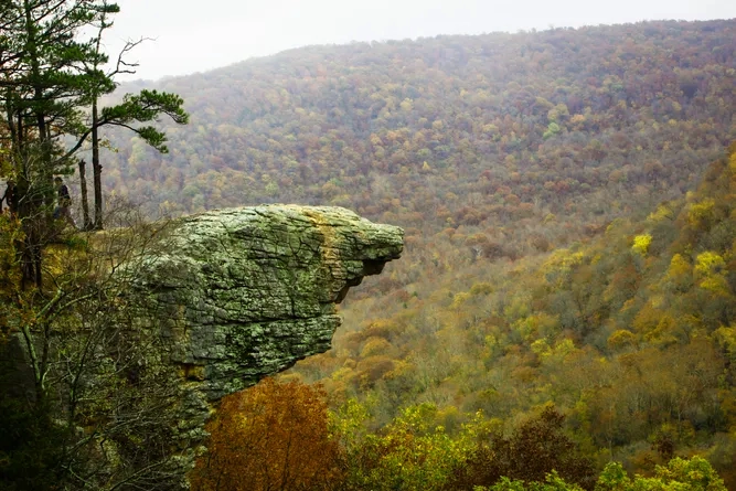 Whitaker point trail to Hawksbill Crag